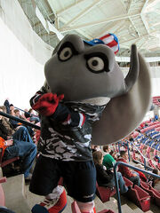 South Carolina Stingrays mascot Cool Ray