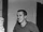 Don Poile