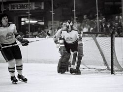 Some of the New York Raiders from their only season in the WHA