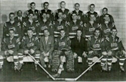 Buffalo Bisons
