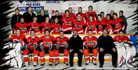 Powassan Dragons