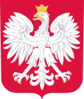 Shirt badge/Association crest