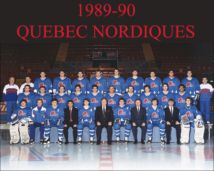 Third String Goalie: 1990-91 Quebec Nordiques Ron Tugnutt Jersey