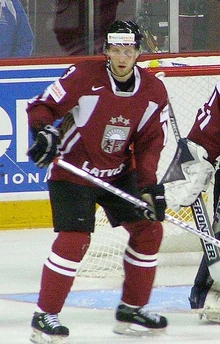 Arvids Rekis 2008