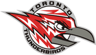 Thunderbirds Logo
