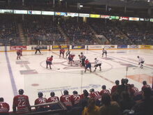 Guelph Storm face off