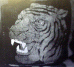 Hamilton Tigers (1921) Team Logo