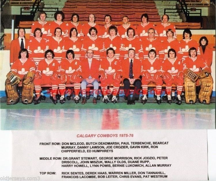 WHA Defunct Calgary Cowboys 1975-76 Color Team Picture 8 X 10 Photo Pic 