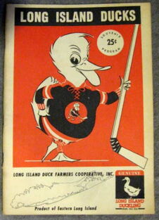 1DUCKS1.jpg