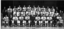 Lake Superior Lakers (CCHA) (NCAA Champions)