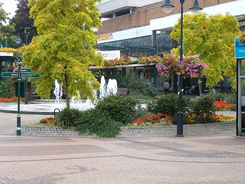 Bracknell Ice Hockey Wiki Fandom