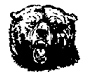 Muskoka Bears