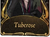 Tuberose