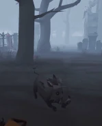 The accessory’s effects while using Howl