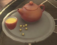 Detailed View of the Dish