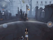 Snow Lotus Effect of placing Fast Music Box