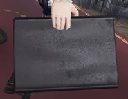 RunawayCanvasBack.jpg (41 KB) Appearance of the Runaway Costume Canvas (Back)