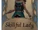 Skillful Lady