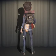 Falling Leaves as it appears in the Appearance Decoration Menu