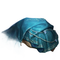 EnlightenmentForgottenCoat