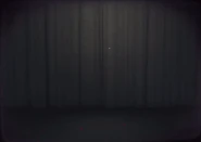 Dogaressa Entrance Animation
