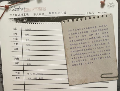 GeishaDesignNotesRBCN