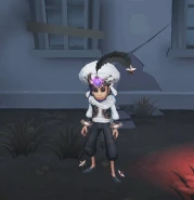 Efectos cuando la varita está destruida