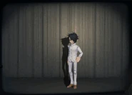 Ray Press Animation.