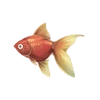 MoonRiverCarnivalPublicMapItemCommonGoldfish