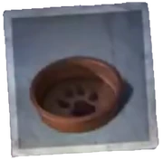 Dog Bowl - An empty dog bowl lay on the ground. Its surface was very dry, indicating that it had not been used for a long time.