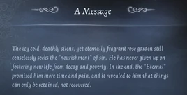 PhotographerLetter2024