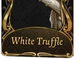 White Truffle