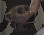 Enchantress' tool, Cursed Emblem