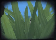 Entrance Showroom Animation