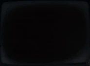 Matador's Kiss's Press Animation.