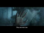 "Unlike other living beings, insects transform in appearance as they grow." - "Queen Bee" Background Story