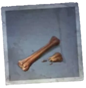 Dog Biscuits from Succubus - There were a few dog biscuits scattered around the corner. The were of high quality, and were even shaped as little bones.