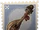 Mandolin
