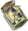 BottleOfFirefliesFull
