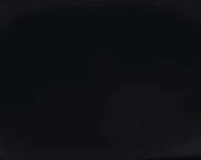 Sagittarius Entrance Animation.