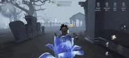 Flower of Forgettance camera effect while teleporting back.