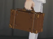 NormanMakeupBox.jpg (33 KB) Appearance of the Norman Costume Makeup Box.