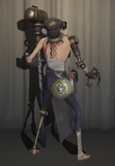 In the Appearance Menu