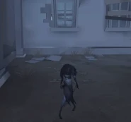 Follower Control Effect.