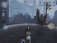 Snow Lotus Effect of placing Slow Music Box