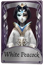 WhitePeacock