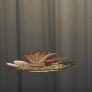 Appearance of Dish in Self Examination menu (back)