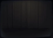 Monstrous Bird Entrance Animation.