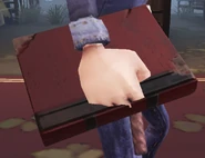 Appearance of Travel Journal (Default) Closeup View In-Game