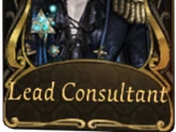 Lead Consultant